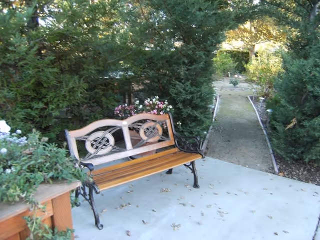 A wooden bench with decorative metal armrests and backrest sits on a concrete patio surrounded by green bushes and flowering plants. A narrow garden path lined with small plants extends into the background between tall evergreen trees.