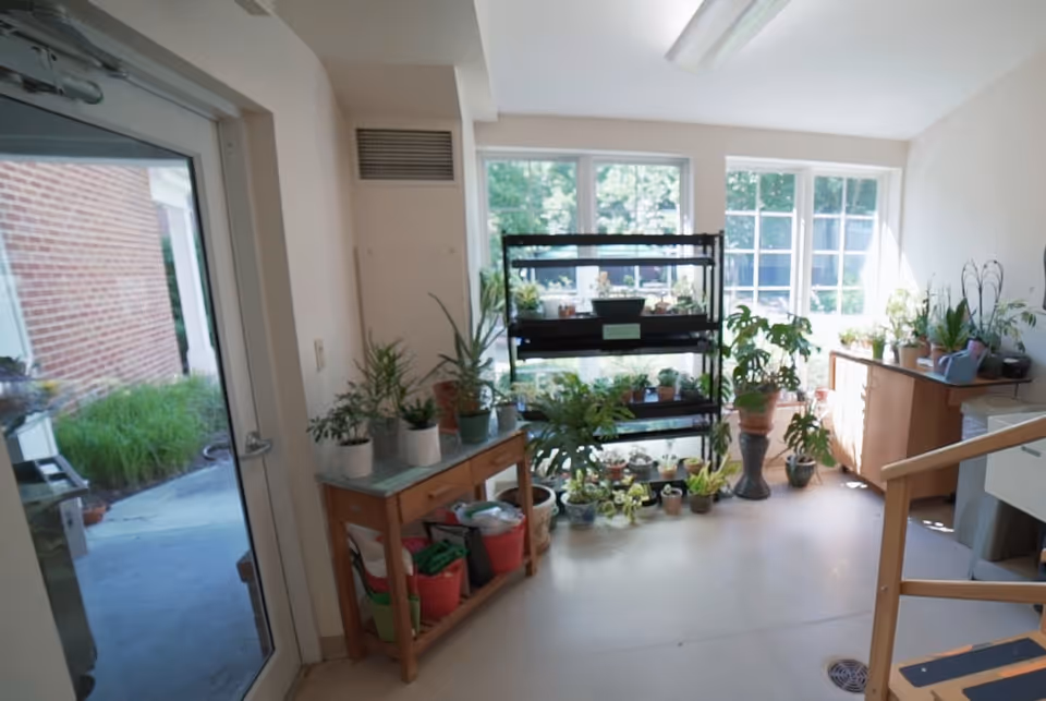 A bright indoor room with large windows letting in natural light, filled with various potted plants on shelves, tables, and the floor. There is a glass door leading outside to a garden area, and the room has light-colored walls and flooring.