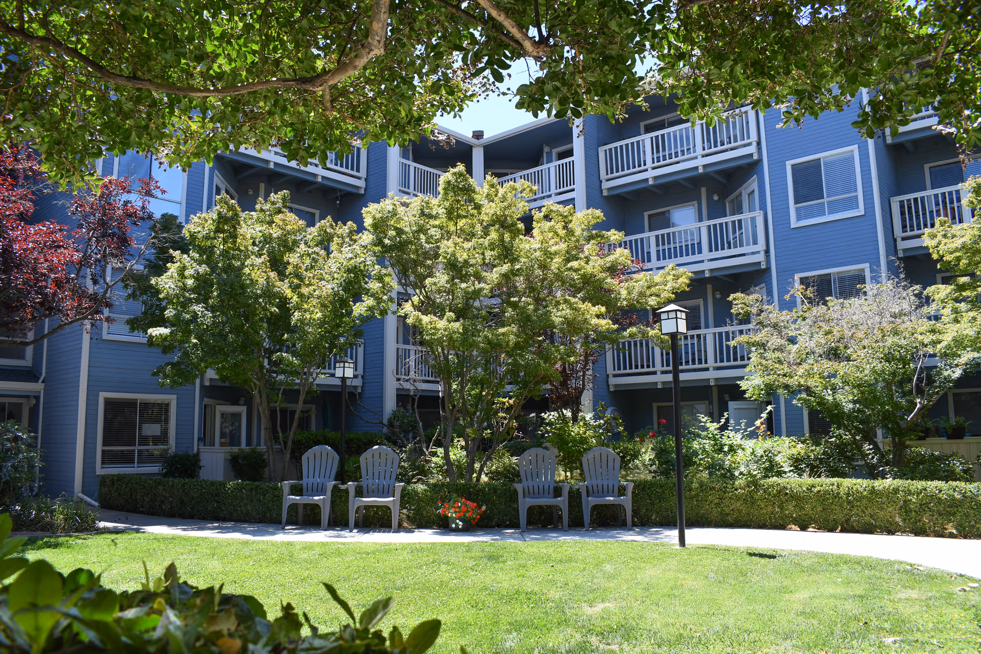 Outdoor courtyard area of a senior living facility with green grass, trees, shrubs, and four white Adirondack chairs arranged in pairs. The background shows a blue multi-story building with balconies and windows, partially shaded by tree branches overhead.