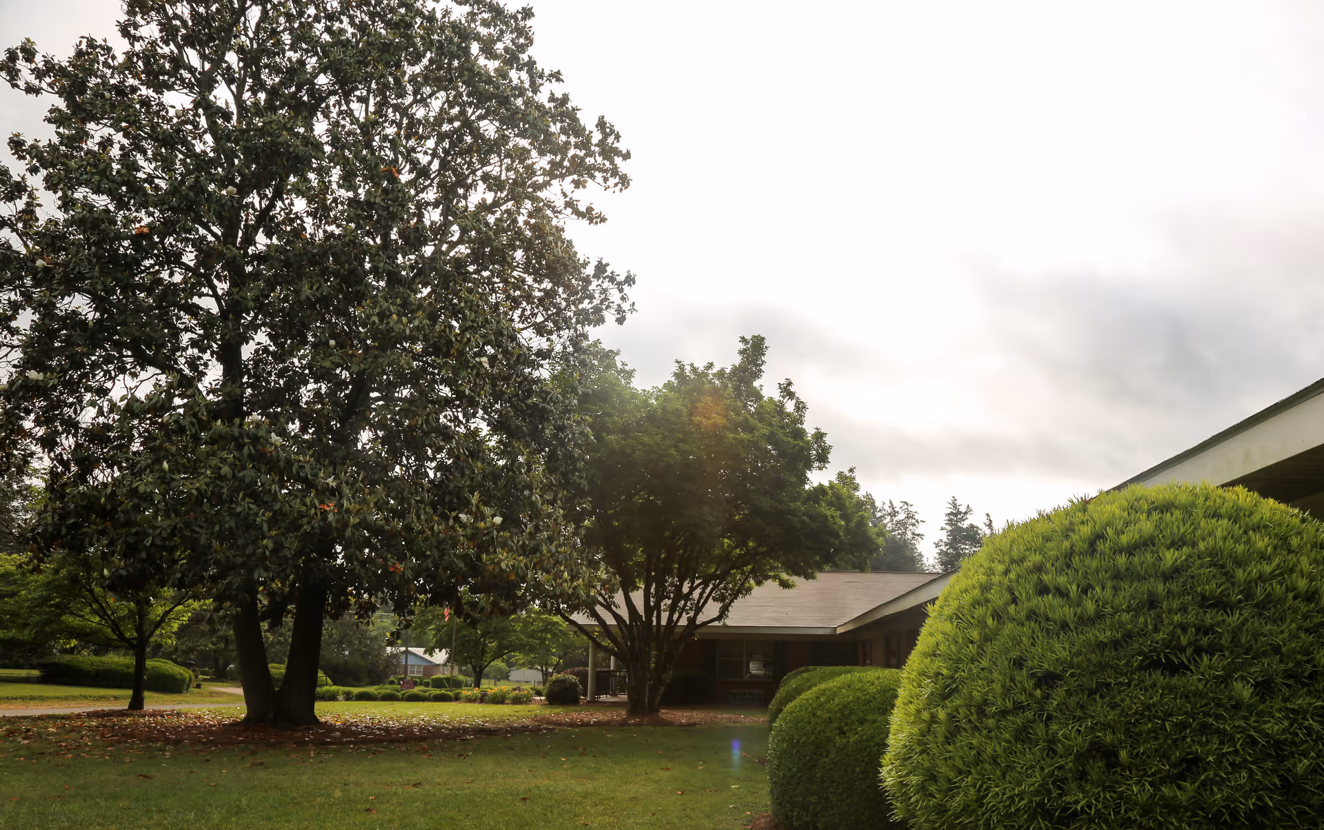 Front lawn of Dawson Health & Rehabilitation with large trees, manicured shrubs and a low single-story building under a cloudy sky.