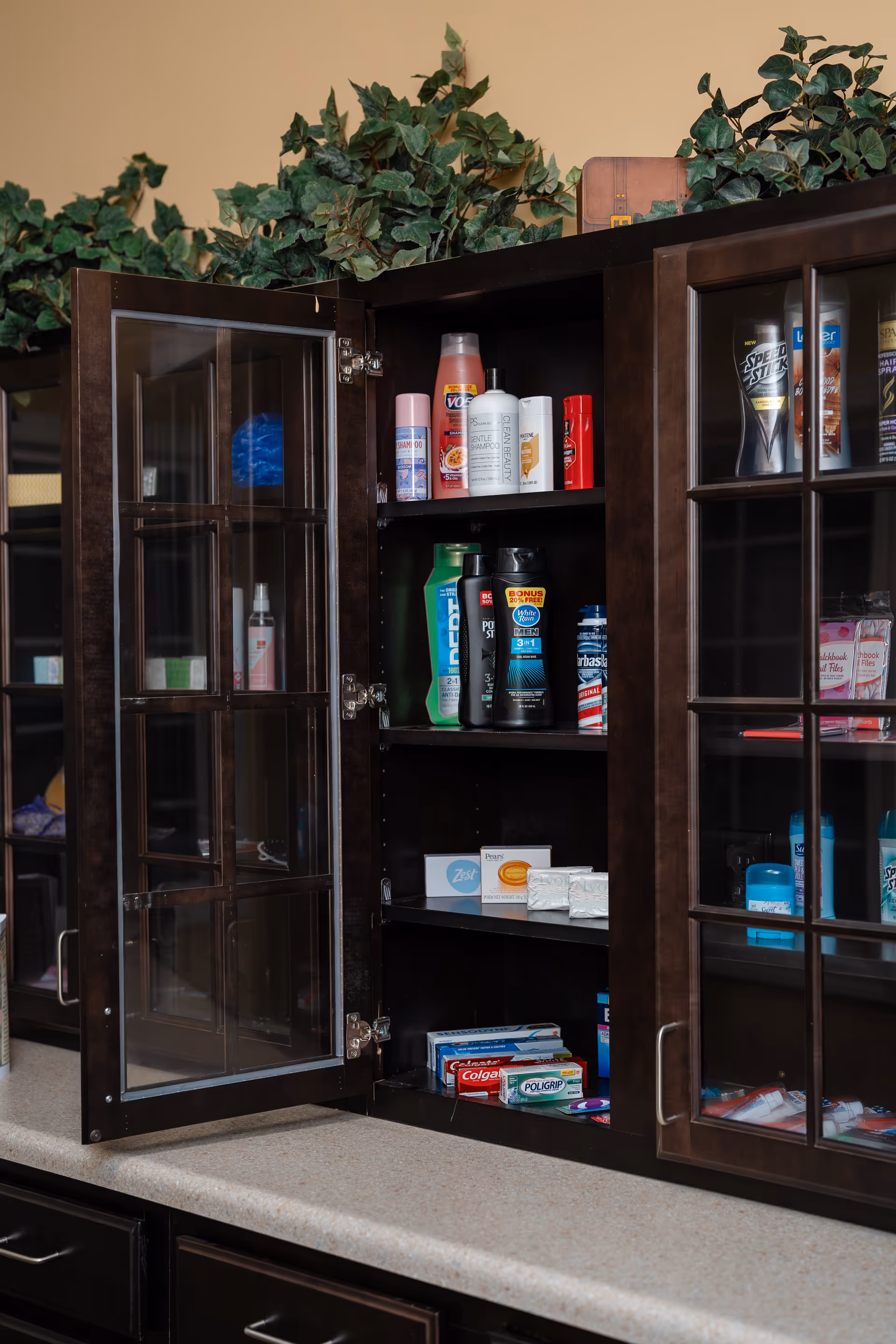 Open dark wood cabinet with glass paneled doors revealing shelves stocked with various personal care products including shampoo, lotion, deodorant, soap, toothpaste, and other toiletries. Green leafy plants are placed on top of the cabinet.
