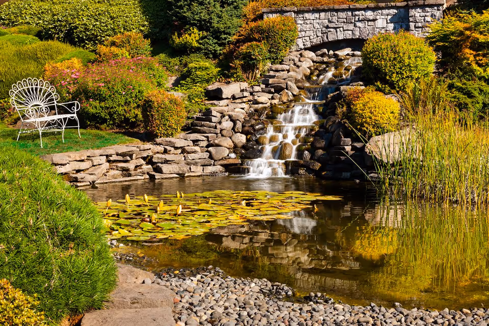 A serene outdoor garden scene featuring a small cascading waterfall flowing over rocks into a pond with lily pads. Surrounding the pond are various green shrubs, bushes with yellow and orange foliage, and a white decorative metal bench on a grassy area.