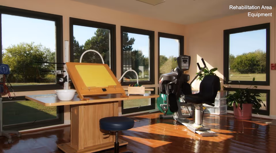 A rehabilitation area with exercise equipment including a recumbent bike and a wooden therapy table with a yellow pegboard. The room has large windows letting in natural light and a view of greenery outside. There are also some plants and storage drawers in the corner.