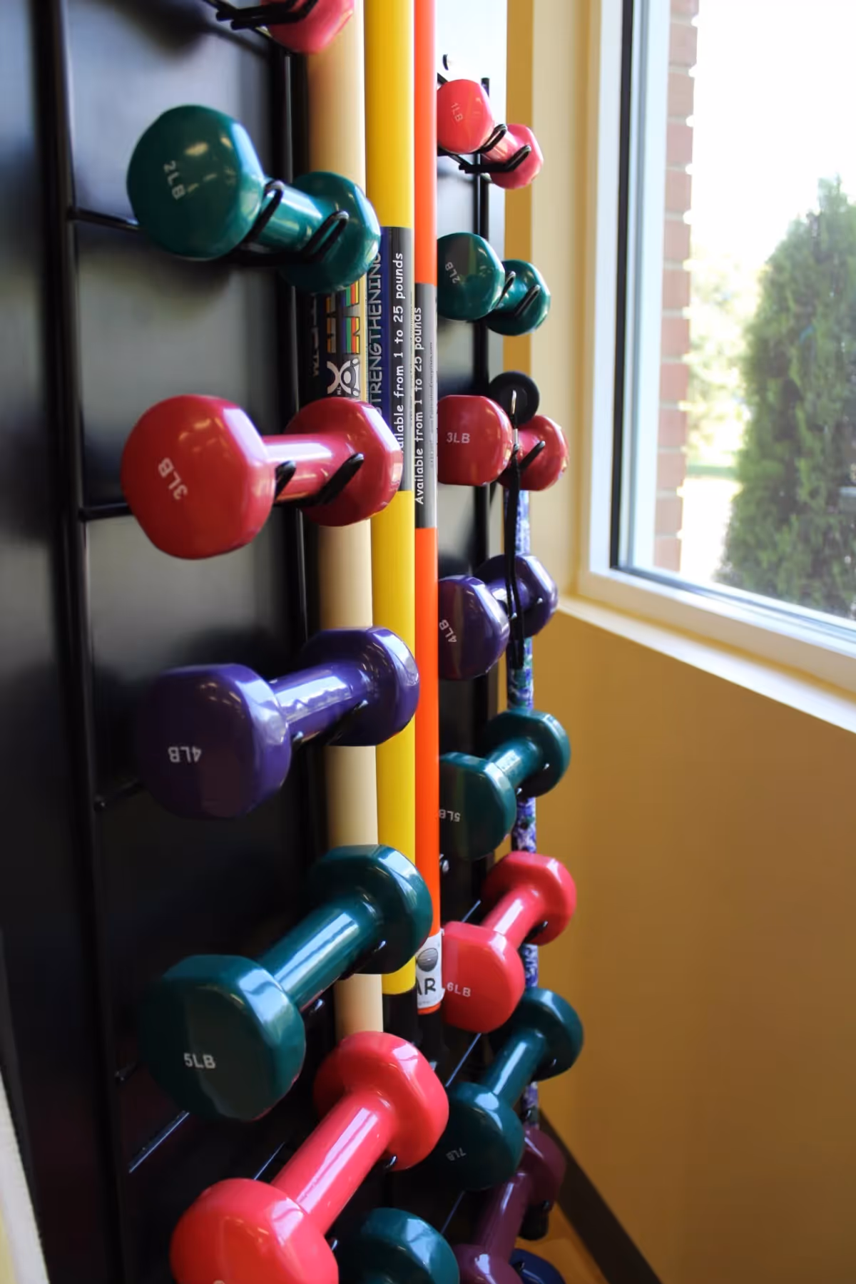 A rack holding various colorful dumbbells and exercise sticks next to a window with a view of greenery outside.