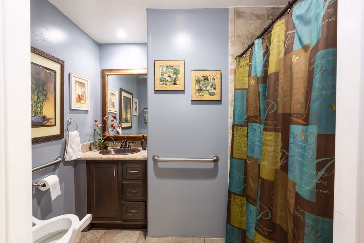 Accessible bathroom with a vanity and mirror, toilet, grab bars, and a multicolored shower curtain.