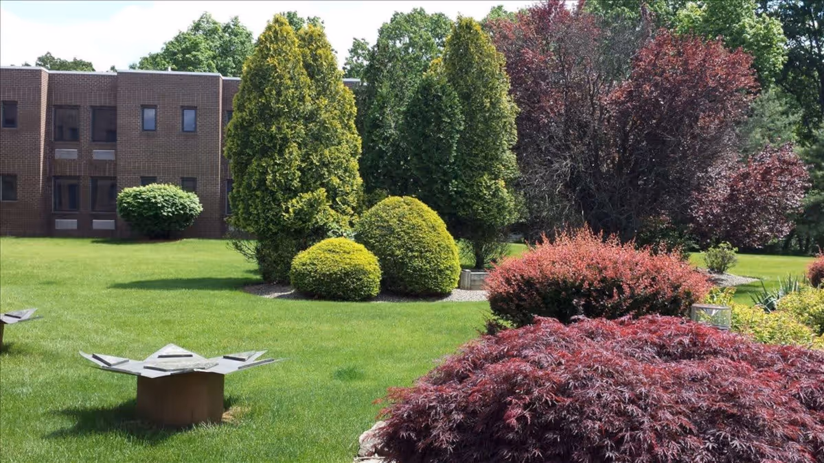 A well-maintained garden area with various green and red bushes and trees, a green lawn, and a brown brick building in the background under a clear sky.