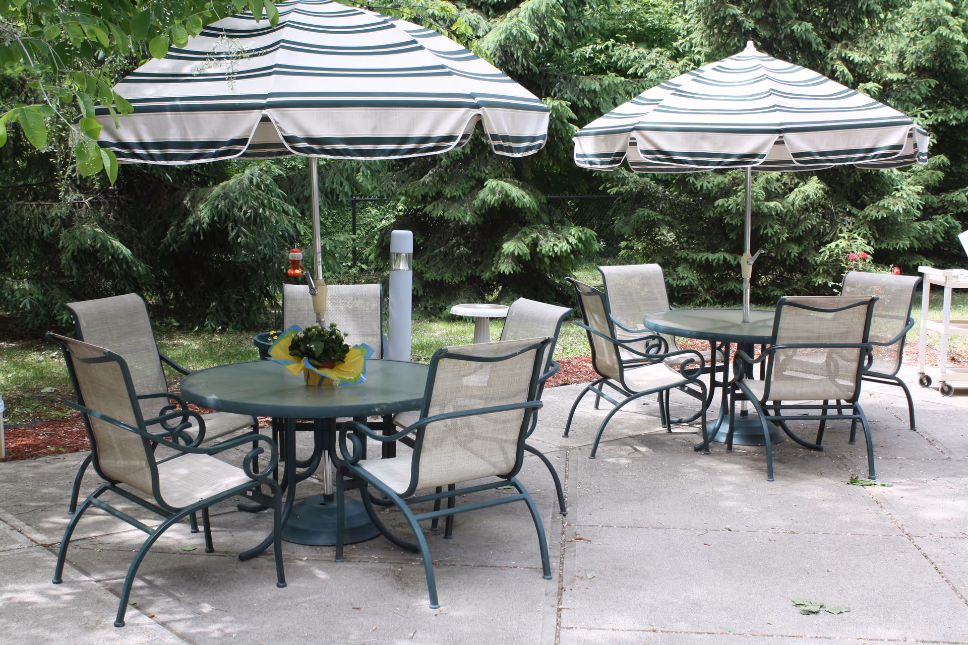 Outdoor patio with round metal tables, striped umbrellas, and mesh chairs on a concrete slab with trees in the background.
