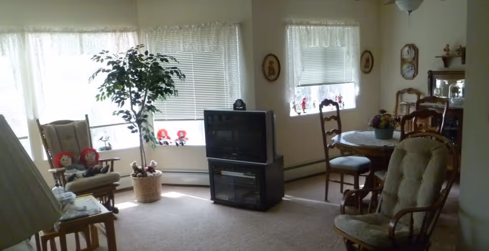A cozy living room with beige carpet and cream-colored walls. The room features a TV on a black stand, a round dining table with four wooden chairs, two cushioned armchairs, a tall potted plant near the window, and several decorative items including dolls on the window sill and framed pictures on the walls. The windows have white blinds and lace curtains.