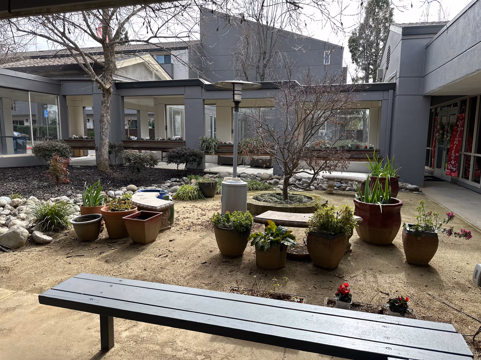 Small courtyard garden with potted plants, a bench, and a leafless tree surrounded by covered walkways of a senior living building.