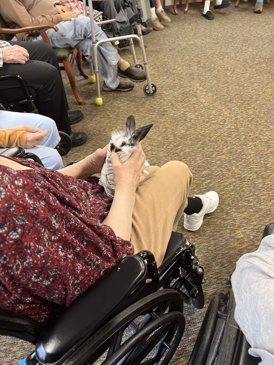 A resident in a wheelchair cradling a small rabbit during a group activity in a nursing home common room.