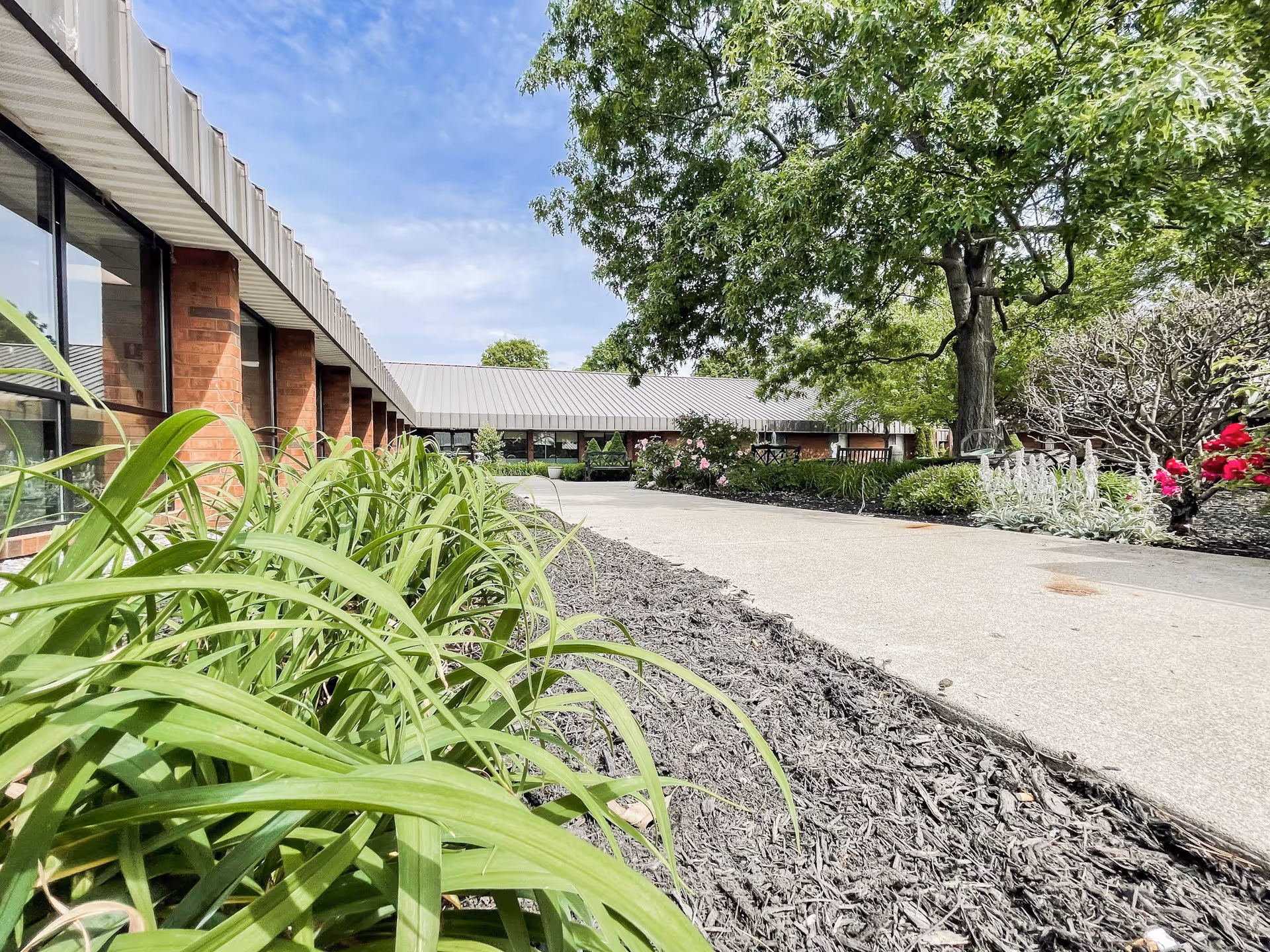 Low-angle view of a landscaped walkway leading to a single-story brick building surrounded by trees and flowering plants.