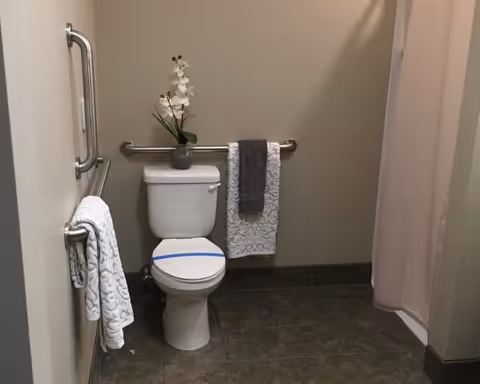 A clean bathroom with a white toilet, grab bars on the walls, two towels hanging on the bars, a small vase with white flowers placed on the toilet tank, and a shower curtain on the right side.