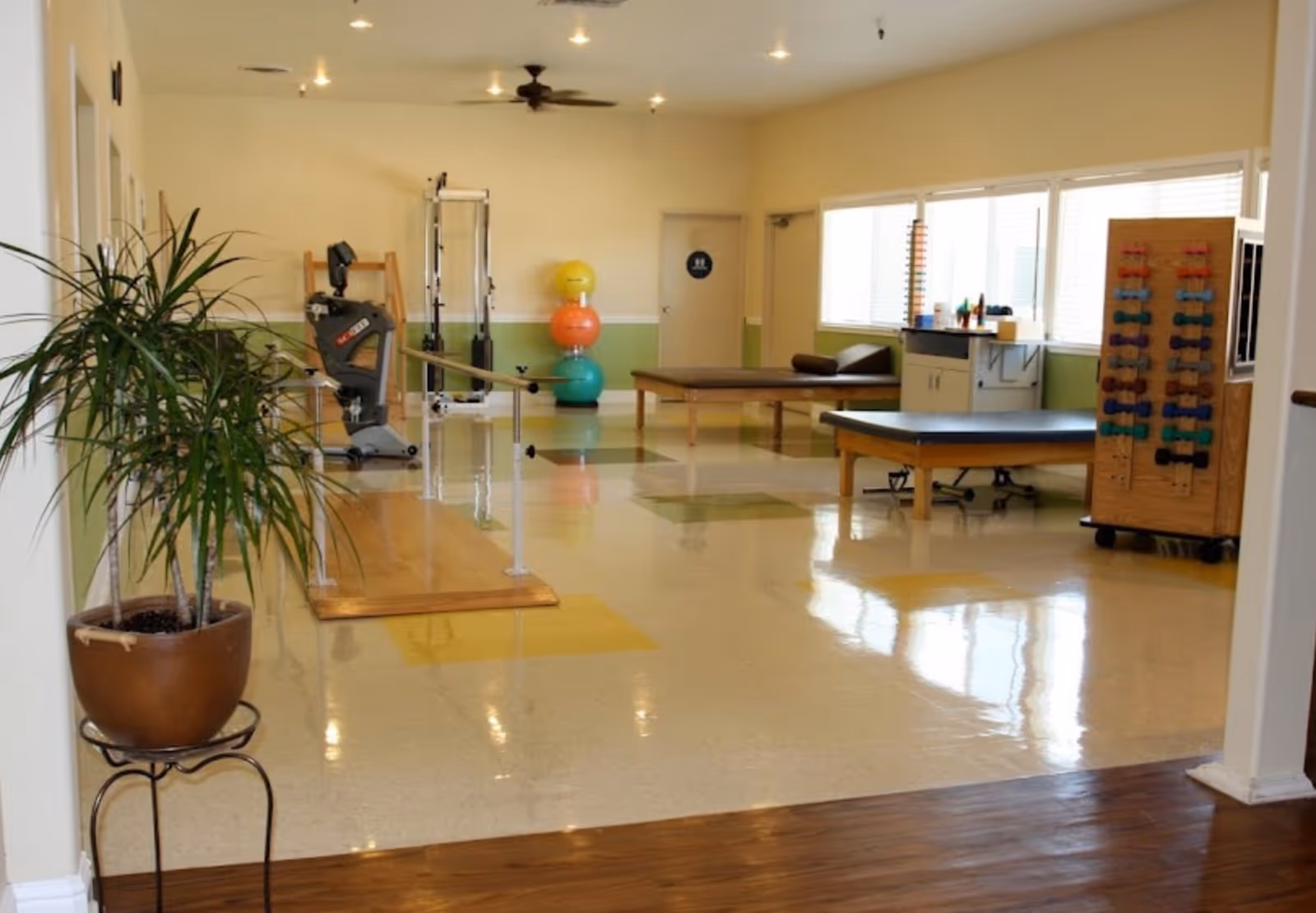 Bright therapy/exercise room with parallel bars, exercise equipment, therapy tables, and a potted plant near the entrance.