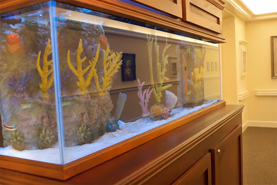 A large rectangular aquarium filled with colorful artificial coral decorations and a few small fish, set on a wooden cabinet in a well-lit hallway with beige walls and framed artwork.