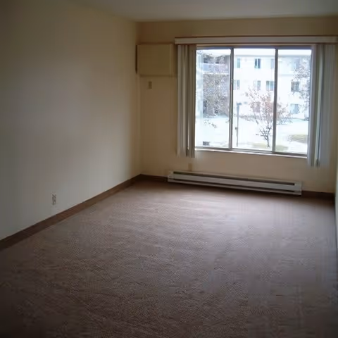 Empty room with beige carpet and cream-colored walls, a large window with vertical blinds showing an outside view of a building and trees, and a baseboard heater below the window.