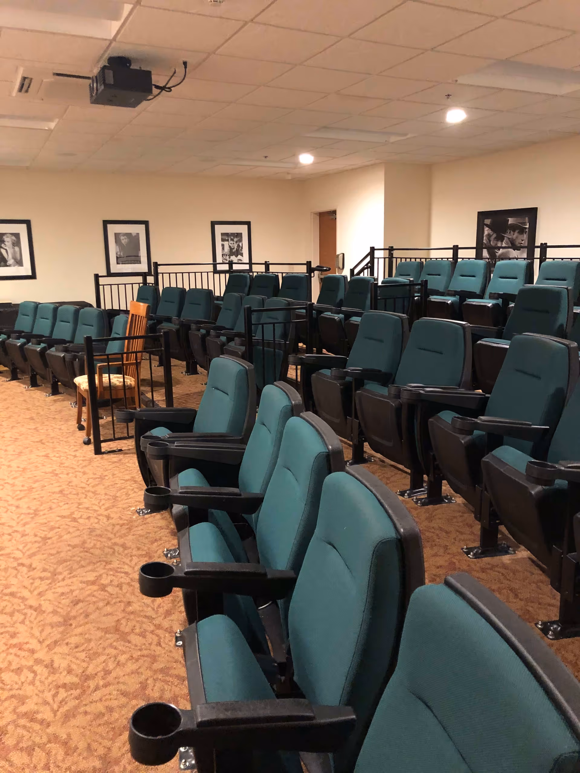 Interior view of a small theater or screening room with multiple rows of green cushioned seats with armrests and cup holders. The room has beige walls with black and white framed pictures and a ceiling-mounted projector. The floor is carpeted in a patterned brown color.