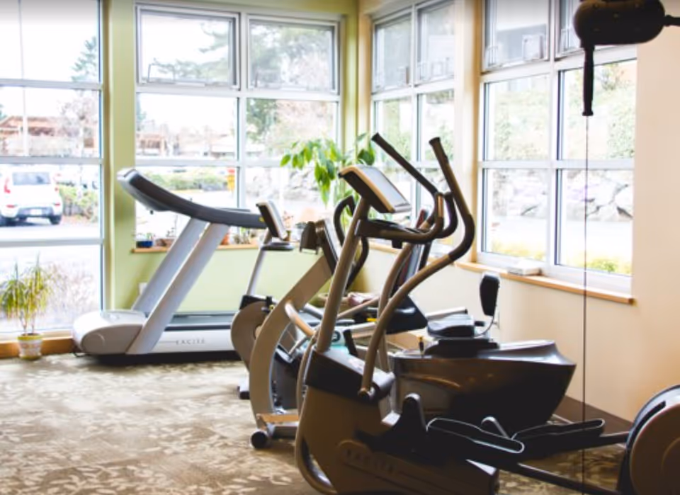 Exercise room with treadmills and elliptical machines beside large windows.