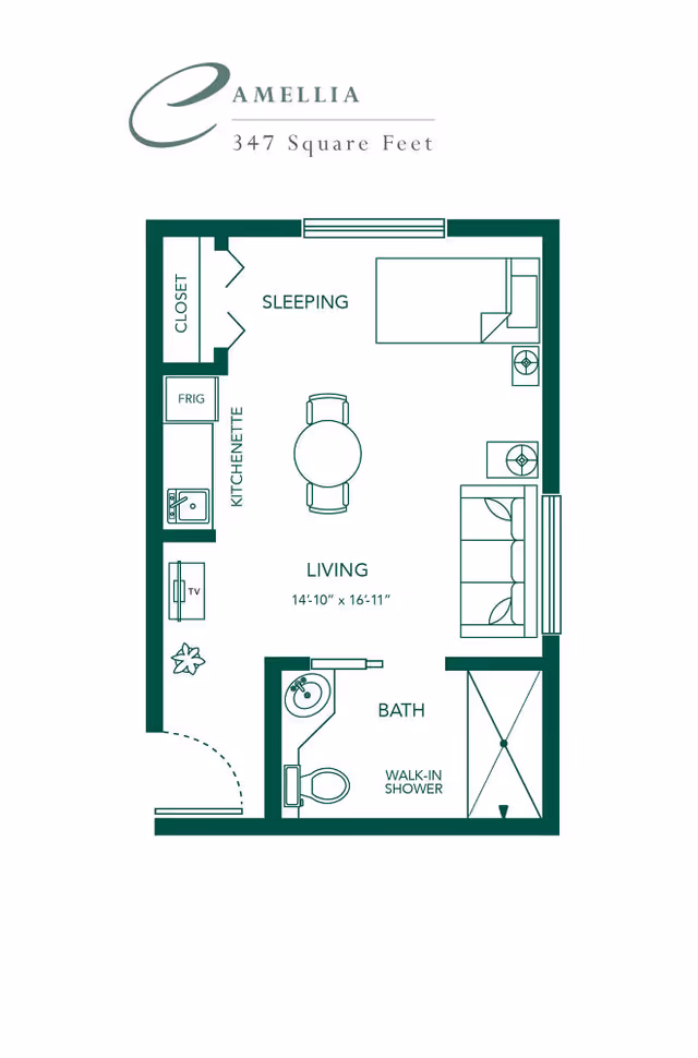 Floor plan of a 347 square feet apartment named Camellia, showing areas labeled Sleeping, Kitchenette, Living, and Bath with a walk-in shower. The layout includes a closet, refrigerator, sink, TV, bed, sofa, table with two chairs, and bathroom fixtures.