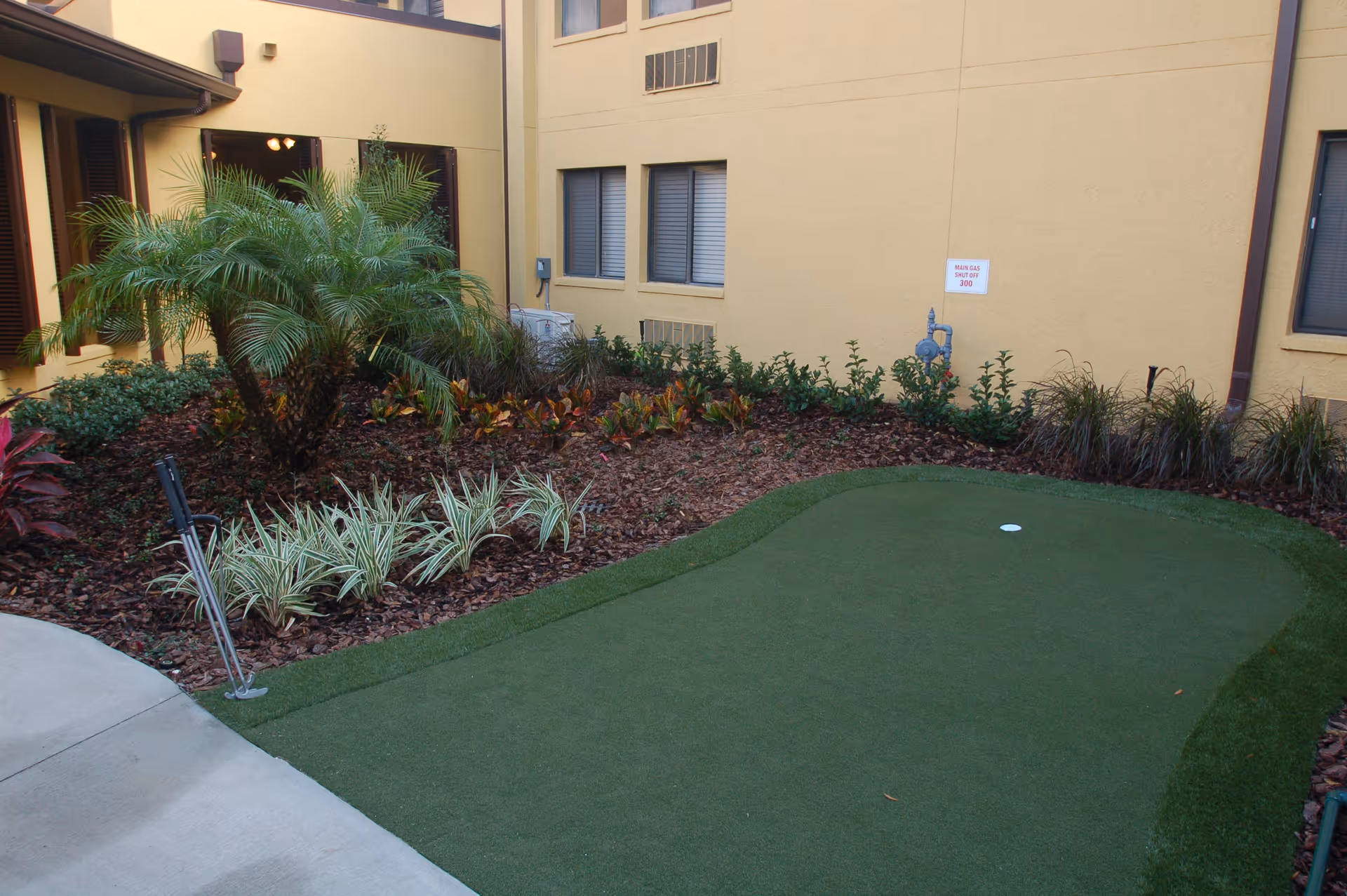 Small outdoor putting green area surrounded by plants and shrubs, with a beige building wall in the background. There are two golf putters resting on the edge of the green near a concrete pathway.