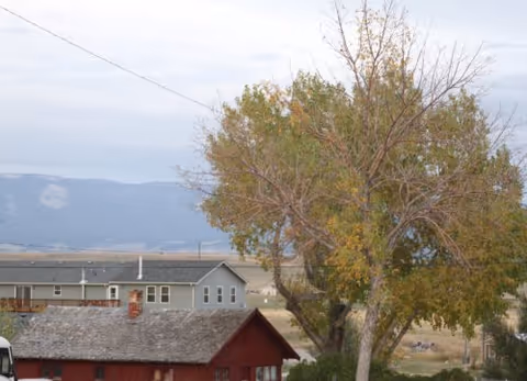 Exterior rural scene showing a red building, a tall tree, and distant mountains.