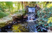 A small stone waterfall flowing into a garden pond surrounded by lush green plants and sunlight.