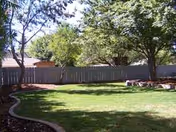 Shaded grassy backyard with trees, a wooden fence, and stone seating areas.