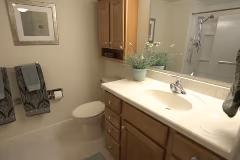 Clean bathroom with a sink vanity and mirror, wooden cabinets, toilet, towel rack, and a shower visible in the background.