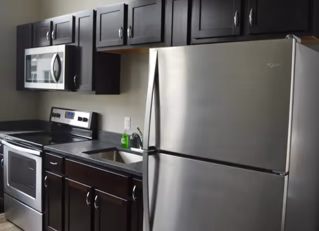 Modern kitchen with dark wooden cabinets, a stainless steel refrigerator, microwave, stove, and a sink with a green dish soap bottle on the counter.