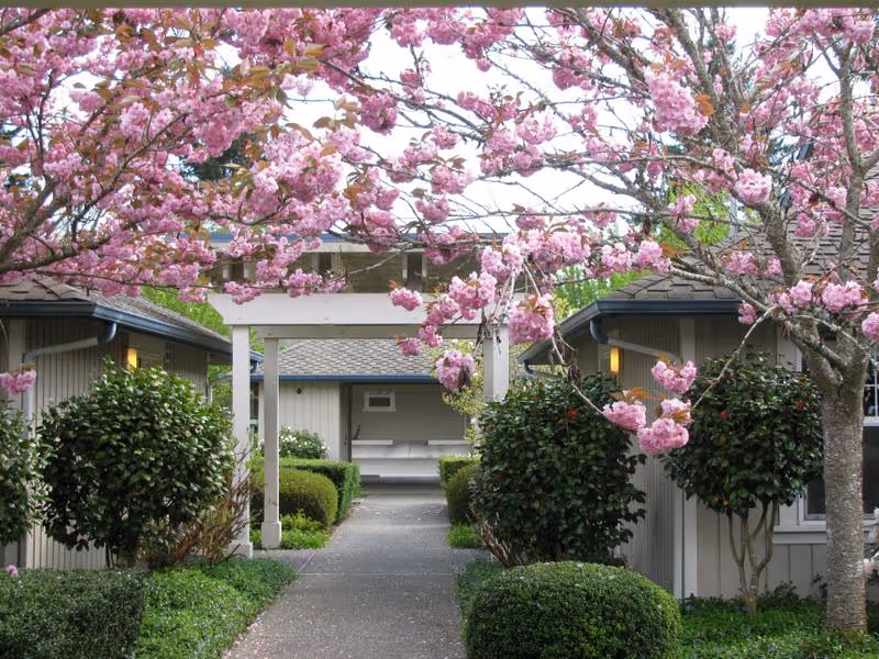 Pathway lined with green bushes and pink flowering trees leading to a covered bench area between two beige buildings with dark roofs.