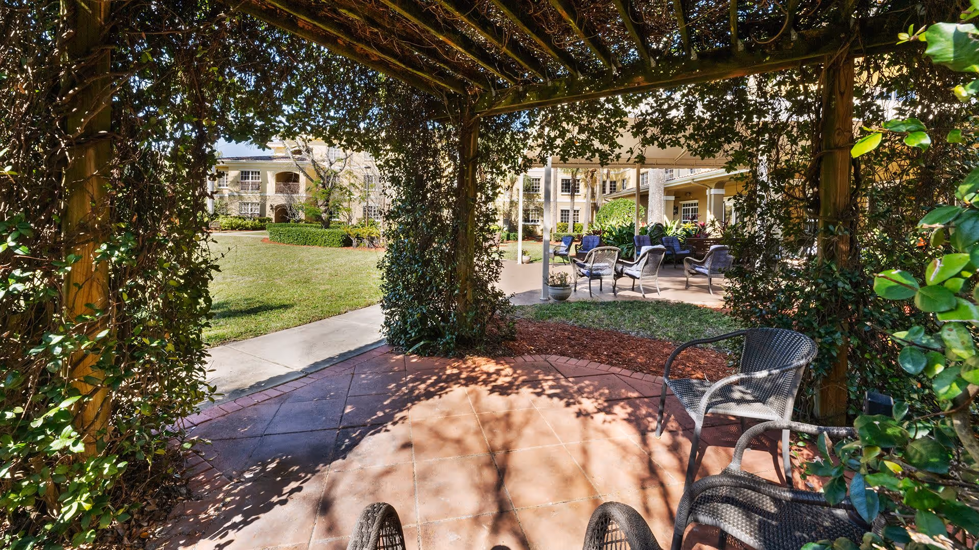 View through a leafy pergola showing an outdoor patio area with several wicker chairs and tables, surrounded by greenery and a well-maintained lawn with buildings in the background.