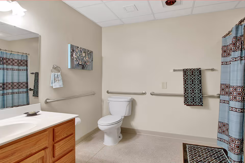 A clean and accessible bathroom featuring a white toilet with grab bars on the walls around it, a wooden vanity with a white countertop and sink, a large mirror above the sink, a towel ring with a hand towel, a decorative wall painting, a shower curtain with blue and brown geometric patterns, and a matching bath mat on the floor.