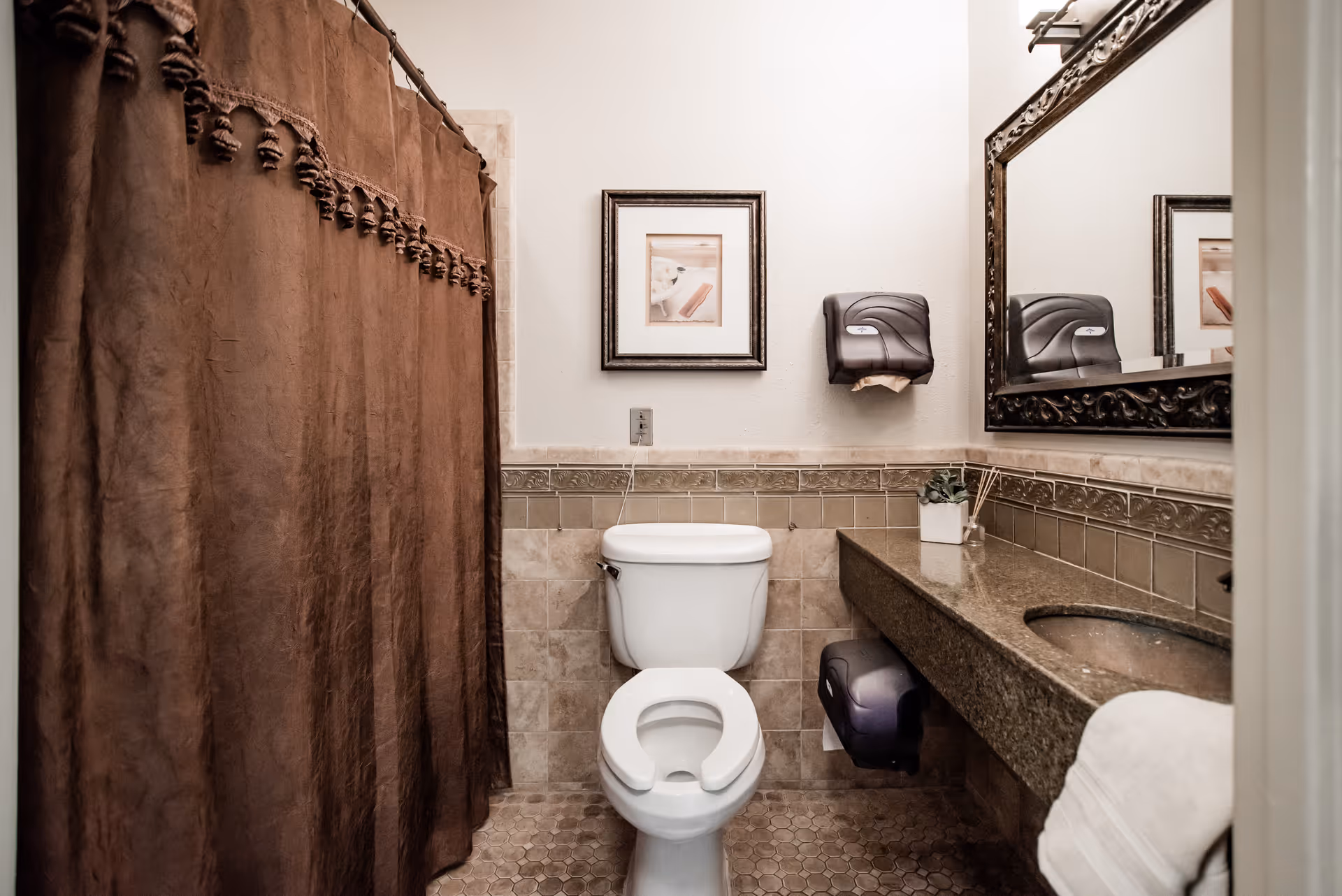 A bathroom with a white toilet in the center, a brown shower curtain to the left, and a granite countertop with a sink on the right. Above the countertop is a large decorative framed mirror and a small potted plant. There is a paper towel dispenser mounted on the wall above the toilet and a toilet paper dispenser below the countertop.