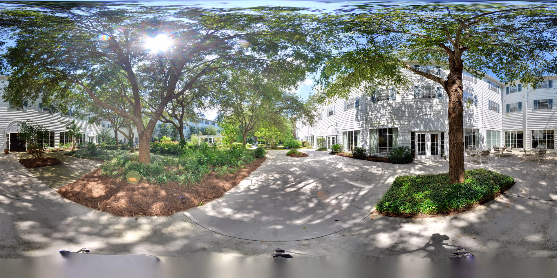 Outdoor courtyard area at The Palms of Mt. Pleasant featuring a paved walkway surrounded by landscaped garden beds with trees and shrubs. The courtyard is bordered by a white multi-story building with large windows and outdoor seating areas. Sunlight filters through the tree canopy, casting shadows on the ground.
