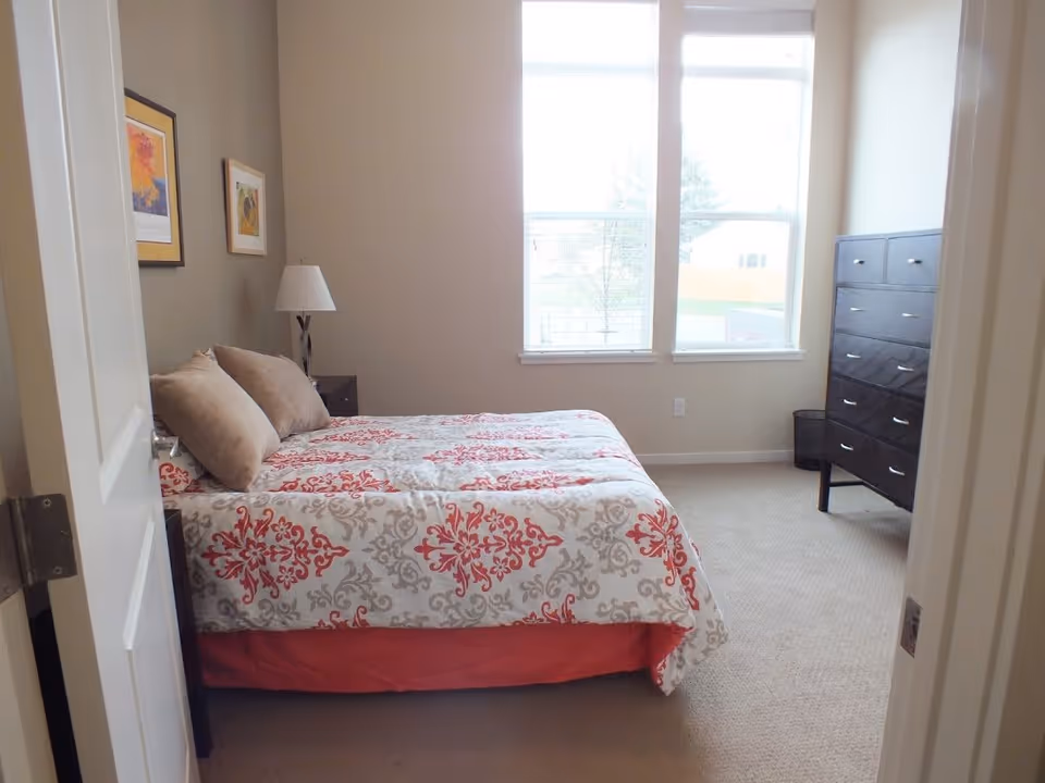 A bright bedroom with a patterned bed, pillows, a bedside lamp and a tall dresser by two large windows.