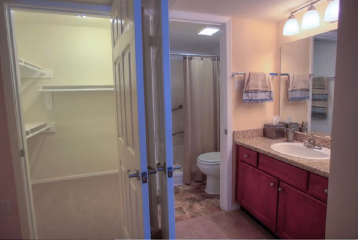 Interior view of a bathroom with a sink, countertop, mirror, and lighting above. To the left, there is an open door leading to a walk-in closet with shelves and hanging rods. The bathroom has a toilet and a shower with a curtain.