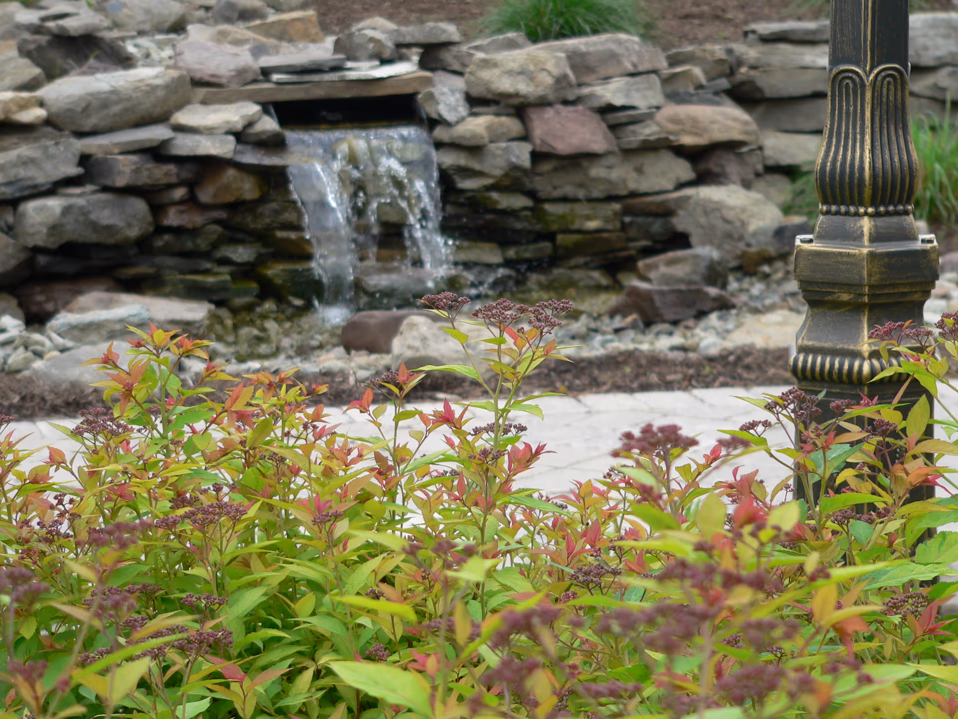 A small outdoor garden area with green and reddish plants in the foreground, a stone waterfall feature with water flowing down rocks in the background, and a decorative black and gold lamp post on the right side.