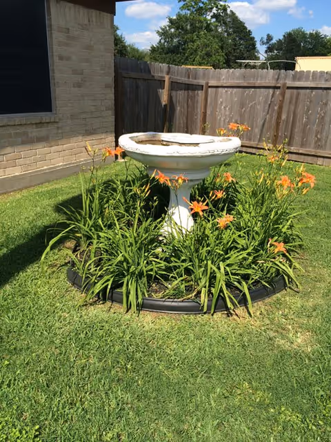 A white birdbath surrounded by orange daylilies in a circular flower bed with green grass. The area is enclosed by a wooden fence and part of a brick building is visible on the left side under a blue sky with some clouds.