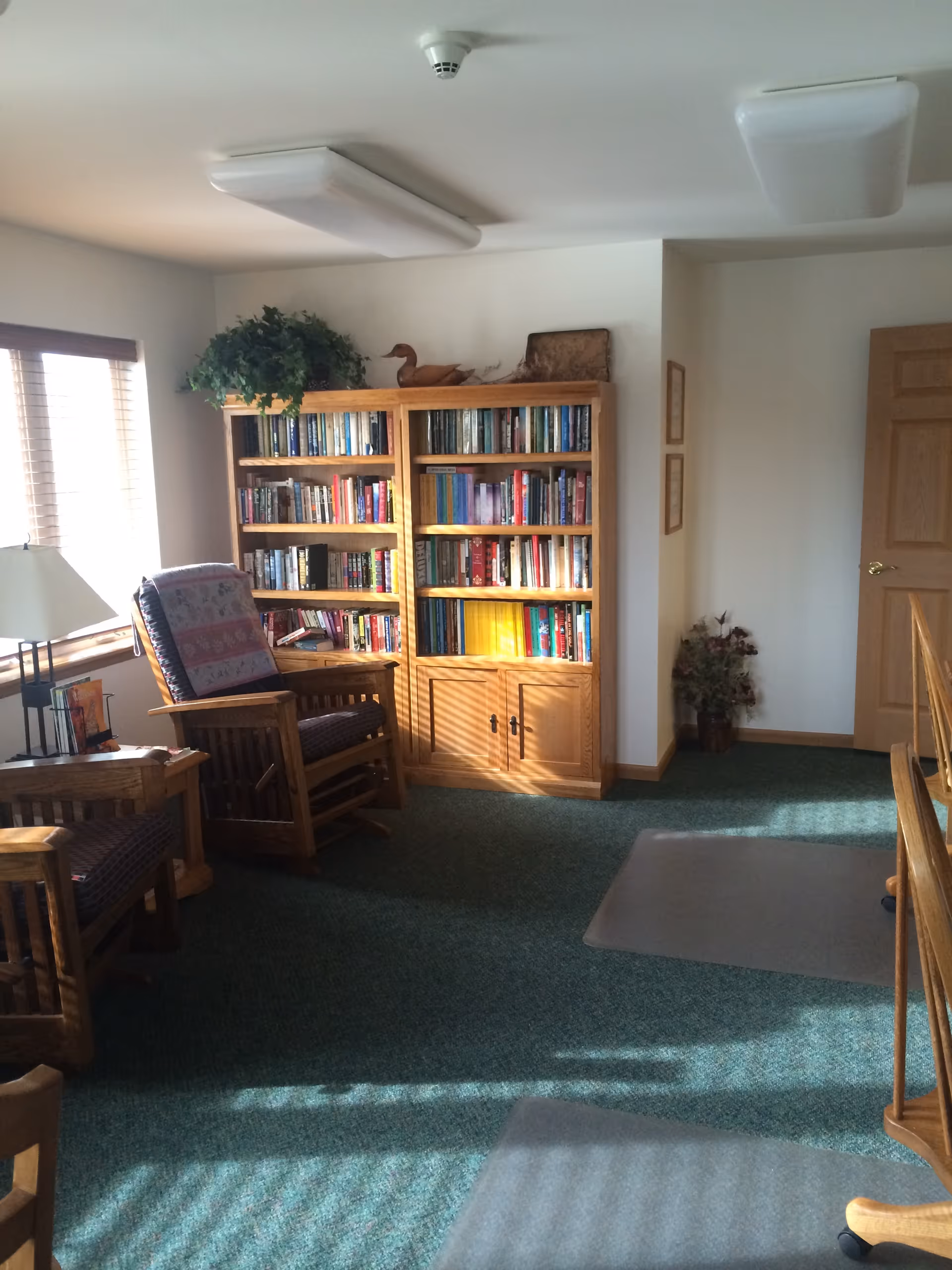 A cozy interior room with a wooden bookshelf filled with books, two wooden armchairs with cushions, a small wooden side table with a lamp, and a window with blinds letting in sunlight. The room has green carpet flooring and light-colored walls with a wooden door and some decorative plants.