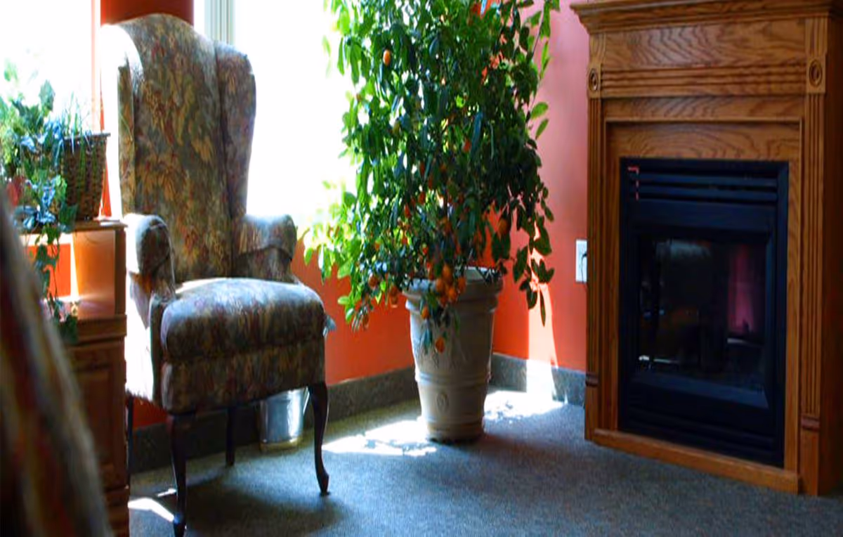 Upholstered wingback chair beside a large potted plant and a wood-framed fireplace in a sunlit living room.