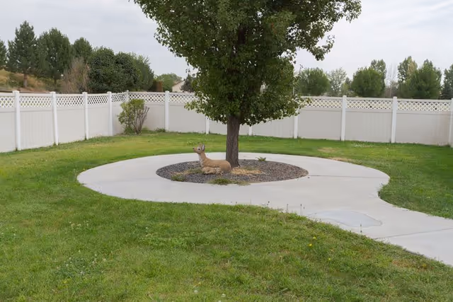 A fenced outdoor area with green grass and a concrete circular pathway surrounding a tree. There is a small deer statue lying on the ground near the base of the tree.