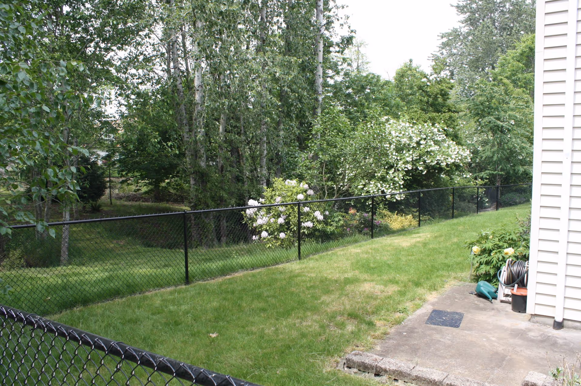 A grassy backyard area with a black chain-link fence running along the edge. There are various green trees and flowering bushes beyond the fence. Part of a beige building with siding and some garden tools and a hose reel are visible on the right side.