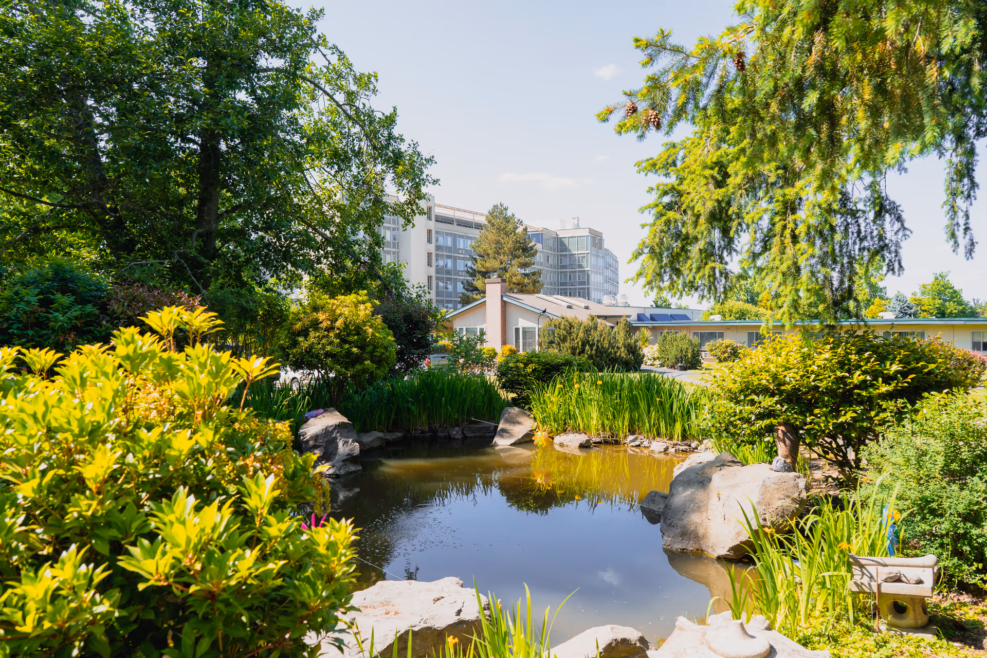 Landscaped garden pond with rocks, shrubs, and trees, and a multi-story building visible in the background.