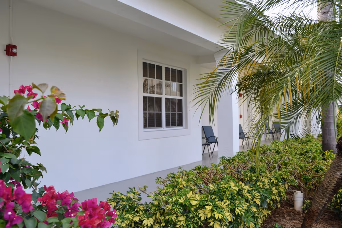 Outdoor view of a white building wall with a window and several black chairs placed along a covered walkway. The foreground features green and yellow shrubs, pink flowers, and palm trees.