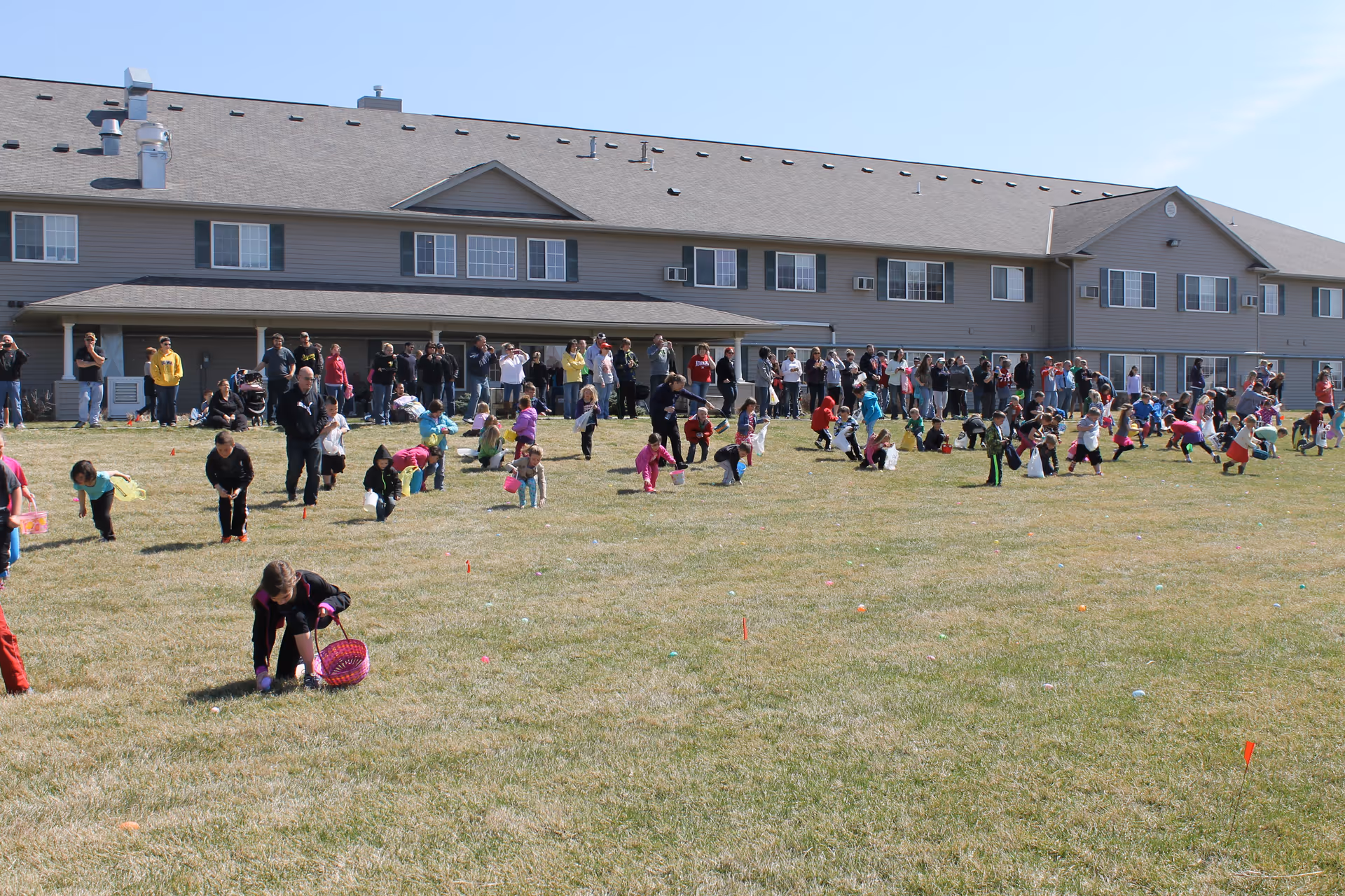A large group of children participating in an outdoor egg hunt on a grassy field in front of a two-story residential building. Many adults are standing in the background watching the event. The sky is clear and sunny.
