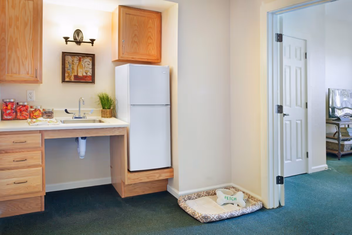 Small kitchenette area with wooden cabinets, a white mini refrigerator, a sink with a faucet, and jars of snacks on the counter. A framed picture and a wall light fixture are above the sink. To the right, there is a dog bed with a bone-shaped toy labeled 'FETCH' on a green carpeted floor. An open doorway leads to another room with a TV and furniture visible.