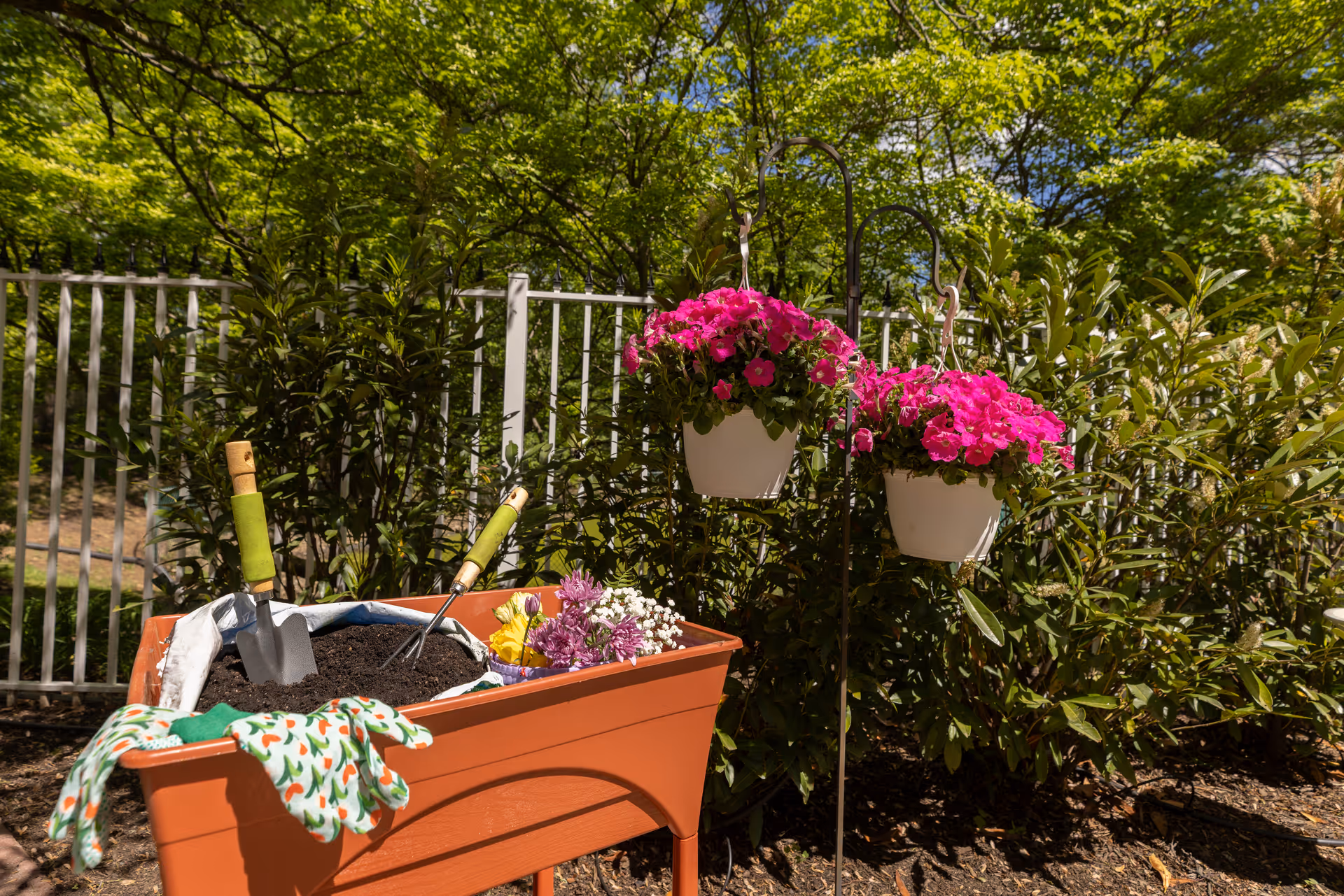 A raised garden bed filled with soil and gardening tools including a small shovel and hand rake. A pair of gardening gloves with a colorful pattern rests on the edge. Two white hanging pots with vibrant pink flowers are displayed next to the garden bed, with green bushes and trees in the background under a clear blue sky.