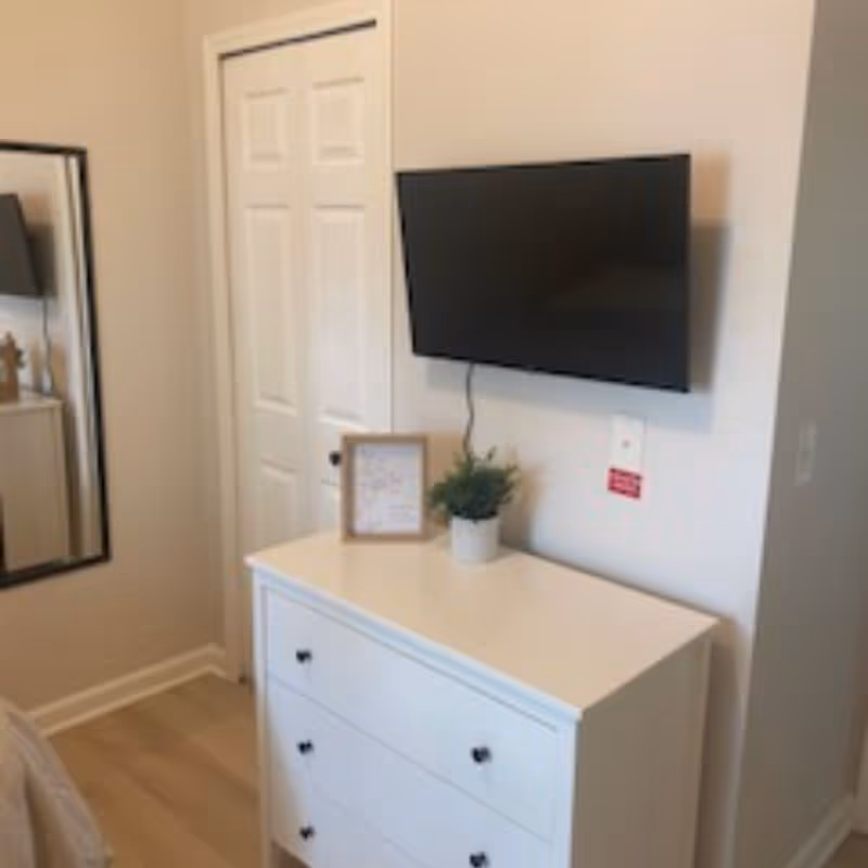Corner of a bedroom showing a white three-drawer dresser topped with a potted plant and framed photo beneath a wall-mounted TV, with a mirror and closet door visible.