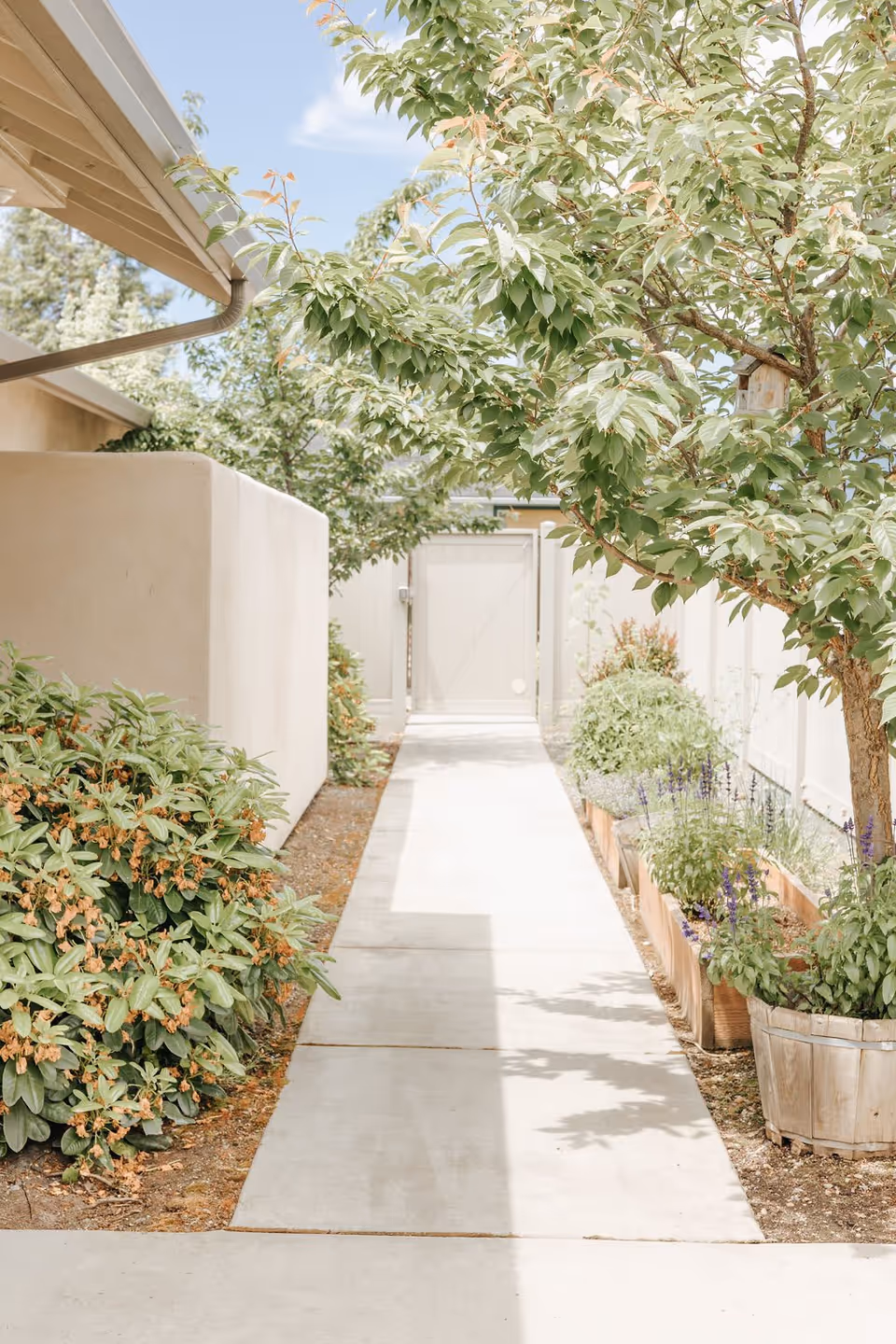 A sunny outdoor walkway lined with green bushes and small trees on both sides, leading to a closed wooden gate. The path is bordered by a beige wall on the left and a white fence on the right, with some potted plants and flowers along the right side.