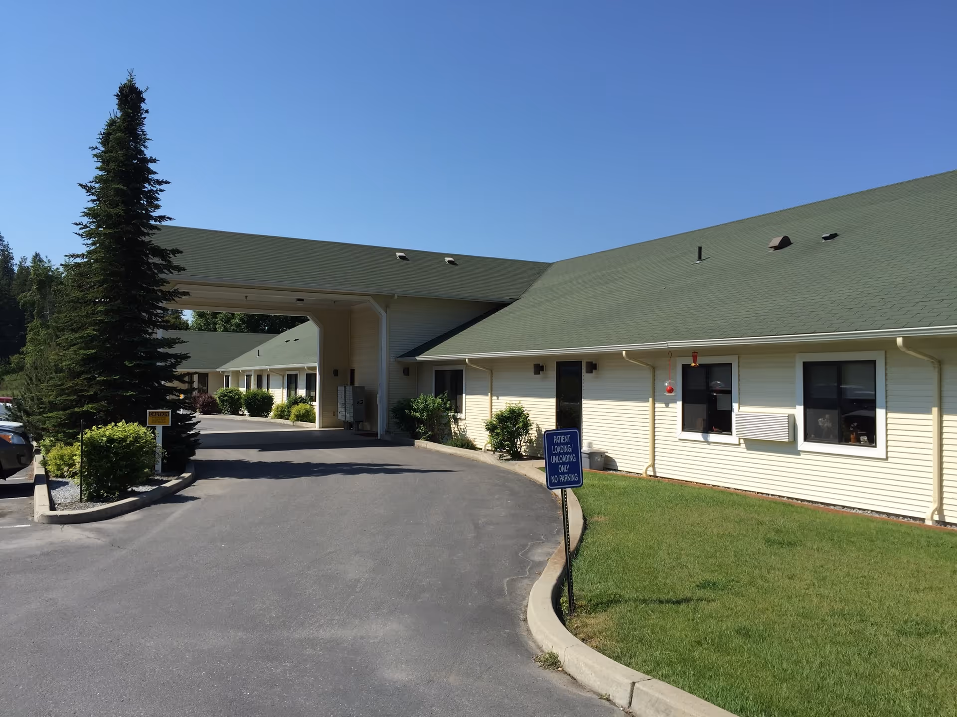 Exterior view of Buena Vista Healthcare facility showing a single-story building with a green roof and light-colored siding. There is a driveway leading to a covered entrance area, surrounded by green grass, bushes, and a tall evergreen tree under a clear blue sky.