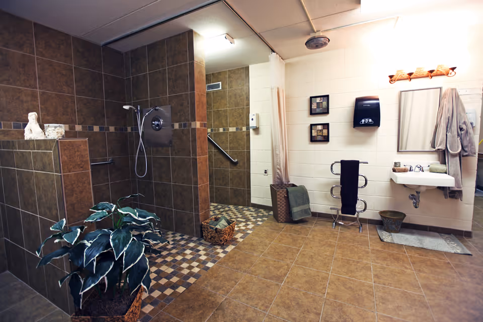 Spacious bathroom with brown tiled walls and floor, featuring a walk-in shower with a handheld showerhead, a white sink with a mirror above it, a towel rack with a black towel, a bathrobe hanging on the wall, decorative wall art, and a potted plant on the floor.